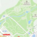 씨유 경주불국사입구점 | 경주 겹벚꽃 명소 4월 불국사 만개 후기 + 실시간 개화 시기 확인 방법