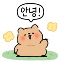 다온래쉬 - 서구 이화로25번길 12 | 다온래쉬