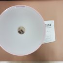 온리라이프(only life) 이미지