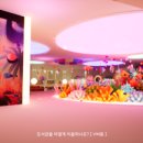 솔로몬 도서관 이미지