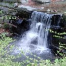 홍천토지부동산중개사무소 이미지