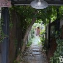 신선로 447번길 이미지