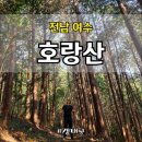 호랑산 둘레길 | 전남 여수 가을 산행, 아름다운 여수 해안선, 밤 줍기 체험하기 좋은 호랑산 최단코스