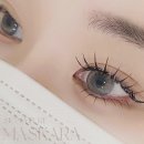라인8차 이미지