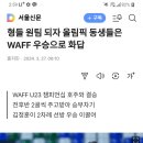 WAFF U-23챔피언십 우승! 호주와 승부차기 혈투끝 극적 우승 이미지