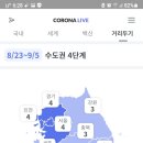 코로나19 일일확진자 및 백신현황 이미지