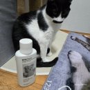 글로벌세탁 | 유아세제 에코스토어 니트세탁 중성 울세제 유칼립투스 향 후기