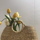 버터컵 스튜디오 이미지