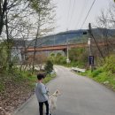 양지촌네스트