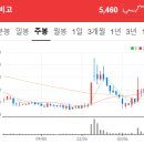 성호특수화물㈜ | 260521 공시 속 보물찾기