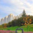 핑크뮬리 이미지