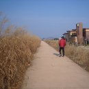 주남저수지 이미지