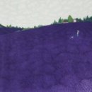 아산조방원미술관 이미지