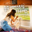 숲속의 은밀한 아지트! 충주 애견동반숙소 충주커피박물관 글램핑카라반펜션 내돈내산 숙박 후기