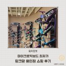 에코링크㈜ | 마이크로킥보드 최저가 구매 꿀팁 링크맘 용인 쇼핑 후기