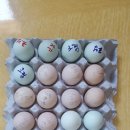 선민농장 이미지