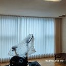 분당백현-D-9 | 분당 백현마을 9단지 커튼 블라인드 설치 후기