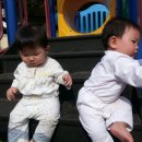 이리중앙초등학교병설유치원 이미지