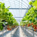 김진우 농장 이미지