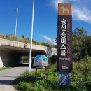 송산목장 이미지