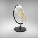 노블리안치과의원 이미지