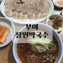장원 | 부여 막국수 편육 맛집 장원막국수 후기