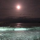 큰솔펜션 이미지