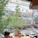 채선당 서현점 | 무제한으로 먹는 신선한 샤브샤브와 월남쌈! 채선당 서현점 - 아기랑 다녀온 후기