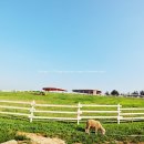 성희목장 이미지