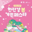 포천 한탄강 가든페스타 다녀온 후기 🌼 꽃길 따라 걷기 좋은 서울근교 나들이 추천