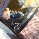 초이다방 이미지