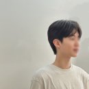 파슈헤어 이미지