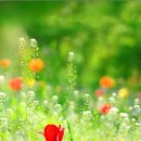 더 파크사이드 서울부동산중개 이미지