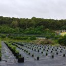 용신농장 이미지