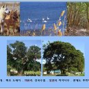 근성목장 이미지