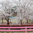 에덴동산 빌라 앞 네이버블로그