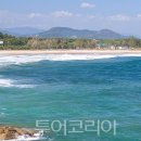 속초 투어코리아