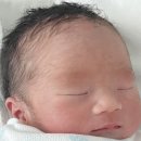 호강한의원 | 출산기록(feat.한별산부인과)