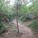 너릿재구도로 이미지