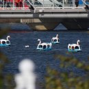 춘천 호반 펜션 이미지