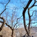 홍록배드민턴장 이미지