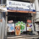 더문 동물병원 이미지