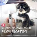 (주)디오비 | 강아지빗 히팅 브러쉬 디오비 펫스타일러 산책 해충방지 펫브러쉬