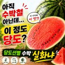 달다고 | 새벽배송으로 산 당도선별 수박, 아직 철 아닌데 이렇게 달다고? 내돈내산 후기