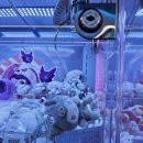 리코리카 이미지