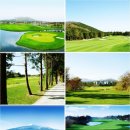 더클래식10 이미지