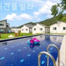 애견은 내친구 이미지