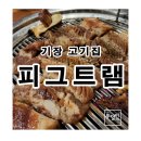 피그트램 이미지