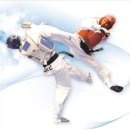 참다운태권도 이미지