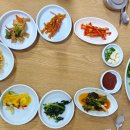 새골목식당 이미지